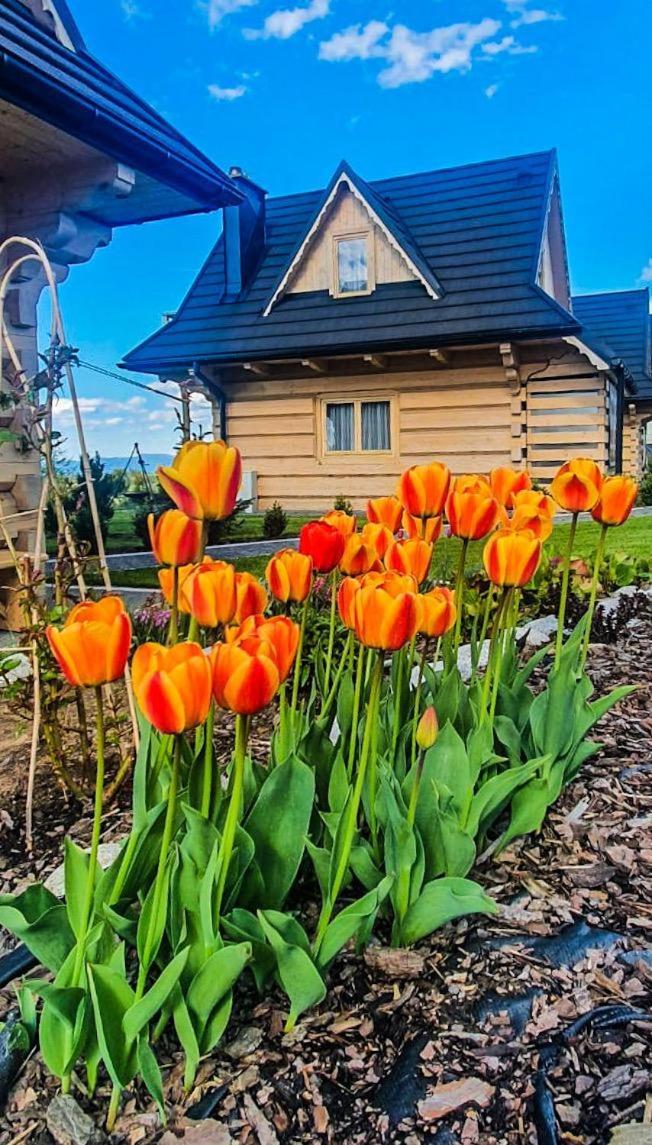 Domki Gorskie Janosik, Kwicol I Pyzdra Gliczarów Exterior foto